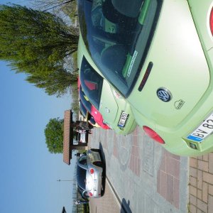 Raduno di Primavera 2016