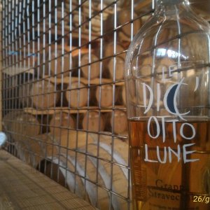 Il nostro quinto raduno!!!