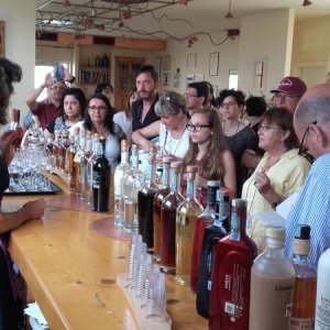 Raduno d' estate 2016 a Rovereto