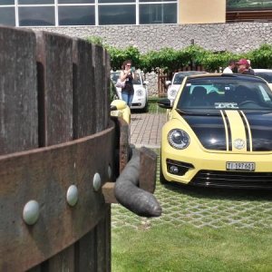 Raduno d' estate 2016 a Rovereto