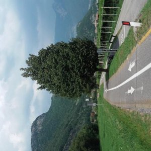 Raduno d' estate 2016 a Rovereto