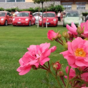 Raduno d' estate 2016 a Rovereto