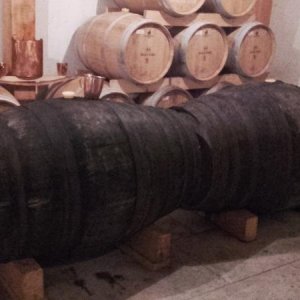 Raduno d' estate 2016 a Rovereto