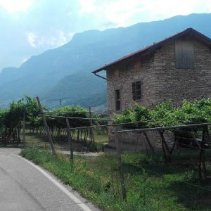 Raduno d' estate 2016 a Rovereto