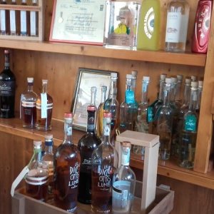 Raduno d' estate 2016 a Rovereto