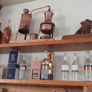 Raduno d' estate 2016 a Rovereto