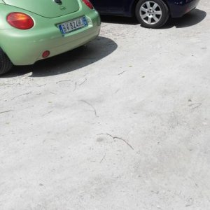 Raduno d' estate 2016 a Rovereto