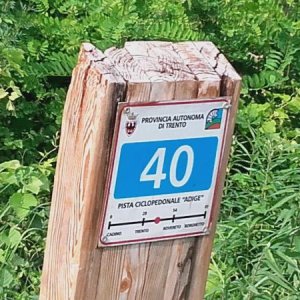 Raduno d' estate 2016 a Rovereto