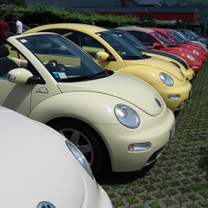 Raduno d' estate 2016 a Rovereto