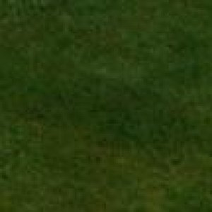 Raduno d' estate 2016 a Rovereto