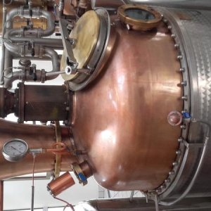 Raduno d' estate 2016 a Rovereto