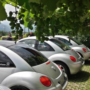 Raduno d' estate 2016 a Rovereto