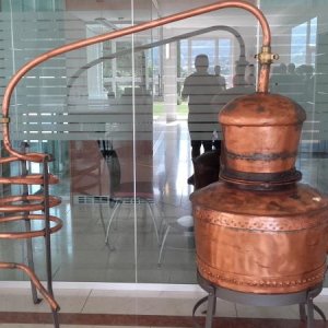 Raduno d' estate 2016 a Rovereto