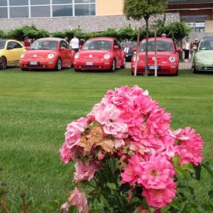 Raduno d' estate 2016 a Rovereto