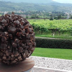 Raduno d' estate 2016 a Rovereto