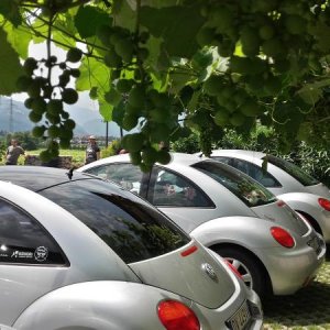 Raduno d' estate 2016 a Rovereto