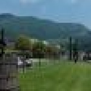 Raduno d' estate 2016 a Rovereto