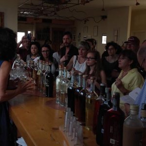 Raduno d' estate 2016 a Rovereto