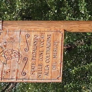 Raduno d' estate 2016 a Rovereto