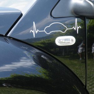 Raduno d'estate 2016