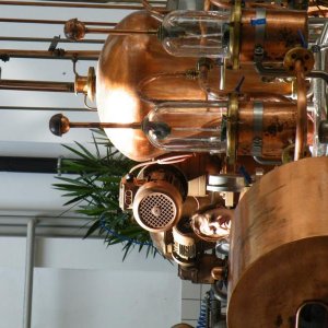 Raduno d'estate 2016