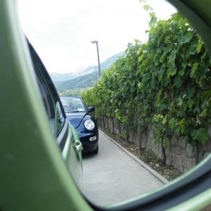 Raduno d'estate 2016