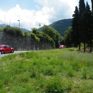 Raduno d'estate 2016