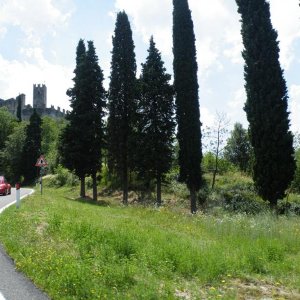 Raduno d'estate 2016