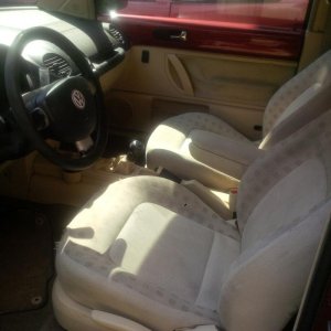 La Bischera-con-le-galline