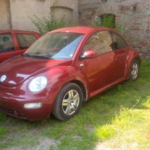 La Bischera-con-le-galline