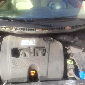 E adesso via con i dettagli