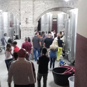 Raduno ad alto grad....azione ! :-D