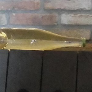 Raduno ad alto grad....azione ! :-D