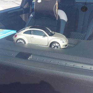 Raduno ad alto grad....azione ! :-D