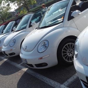 Raduno ad alto grad....azione ! :-D