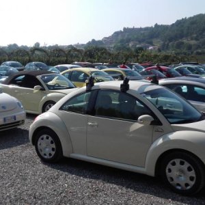 Raduno ad alto grad....azione ! :-D