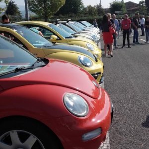 Raduno ad alto grad....azione ! :-D