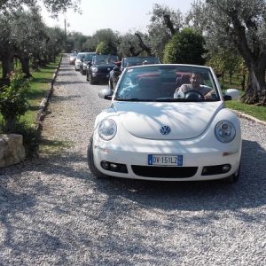 Raduno ad alto grad....azione ! :-D