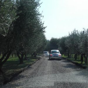 Raduno ad alto grad....azione ! :-D