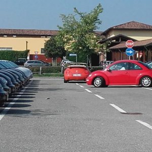 Raduno ad alto grad....azione ! :-D