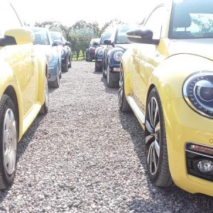 Raduno ad alto grad....azione ! :-D