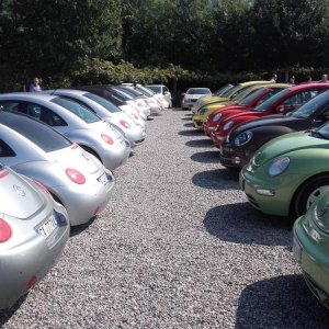 Raduno ad alto grad....azione ! :-D