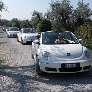 Raduno ad alto grad....azione ! :-D