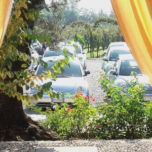 Raduno ad alto grad....azione ! :-D