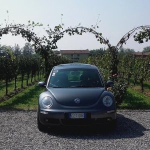 Raduno ad alto grad....azione ! :-D