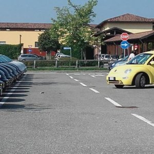 Raduno ad alto grad....azione ! :-D