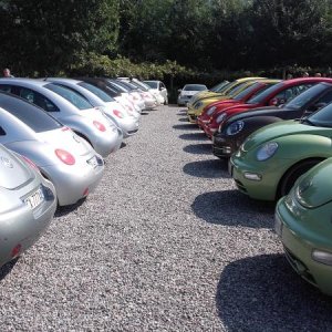 Raduno ad alto grad....azione ! :-D