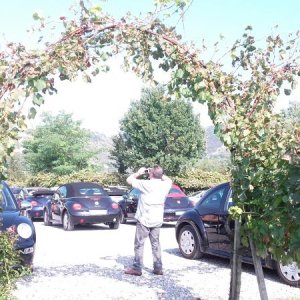 Raduno ad alto grad....azione ! :-D