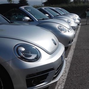 Raduno ad alto grad....azione ! :-D