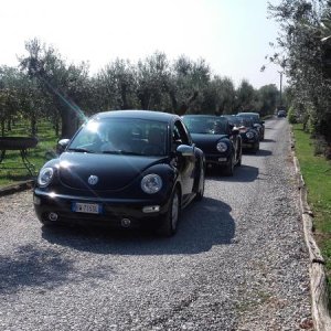 Raduno ad alto grad....azione ! :-D